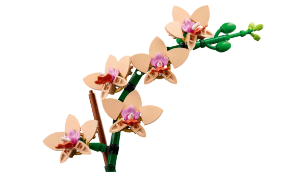 10343 Mini Orchid Discount