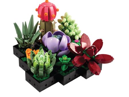 10309 Succulents Online Hot Sale