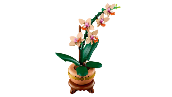 10343 Mini Orchid Discount